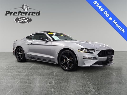 2021 Ford Mustang EcoBoost in Grand Haven, MI - Preferred Auto Dealerships