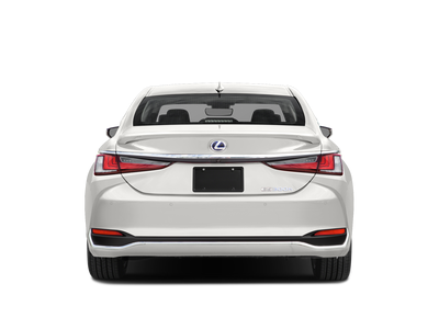 2019 Lexus ES 300h 300h Luxury 2.5 Liter FWD