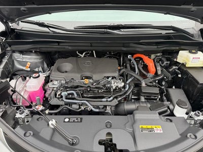 2026 Toyota Sienna Limited 7 Passenger