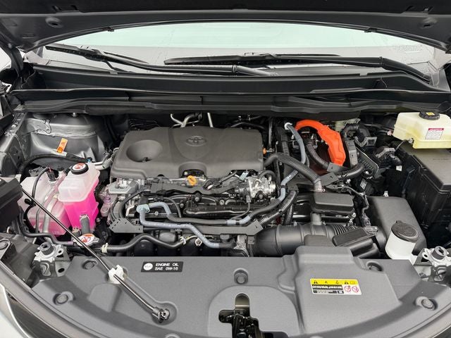 2026 Toyota Sienna Limited 7 Passenger
