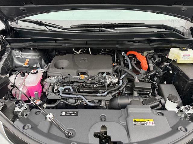 2026 Toyota Sienna Limited 7 Passenger