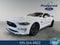 2022 Ford Mustang GT 5.0 Liter V8 2D Coupe Automatic