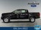 2024 Ford Ranger XL 2.3 Liter EcoBoost Turbocharged Crew Cab 4WD